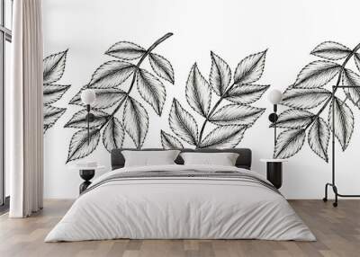 black and white leaf branch seamless border, vintage autumn leaf design, hand drawn black line art floral sketch, monochrome botanical illustration Wall mural