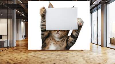 A cute tabby kitten holding up a blank white sign with both paws, partially obscuring its face, against a white background Wall mural