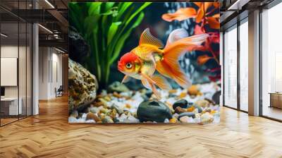 Colorful goldfish amidst vibrant aquascape with rocks Wall mural