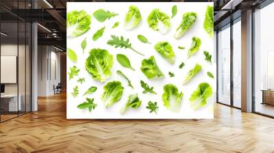 Assortment of Fresh Green Lettuce and Arugula Leaves Wall mural