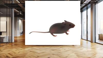 wild little gray mouse (eps 8) on white background Wall mural