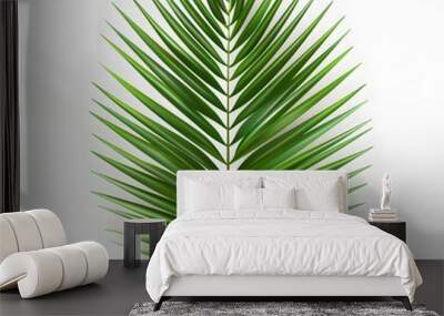 palm leaf isolated on white Wall mural