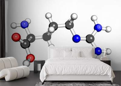 amino acid arginine molecular structure on a white background Wall mural