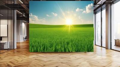 Blue sky with sun and green field with grass, beautiful panoramic natural landscape, spring summer background Wall mural