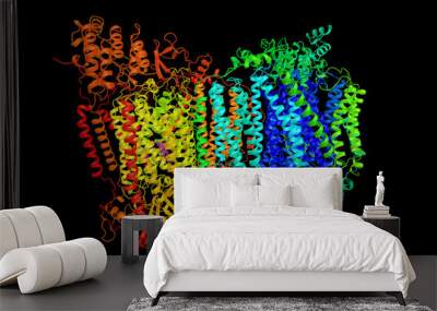 Cytochrome c oxidase, subunit Vb, a subunit of mitochondrial cytochrome c oxidase complex, an oligomeric enzymatic complex which is a component of the respiratory chain complex. 3d rendering Wall mural