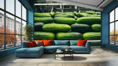 Food industry scene of fresh cucumbers on conveyor belt, processing and packaging, quality control of selected vegetables at plant Wall mural