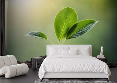 Fresh seed sprouting in modern agricultural setting, representing new life and growth Wall mural