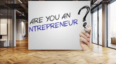 hand writing are you an entrepreneur Wall mural