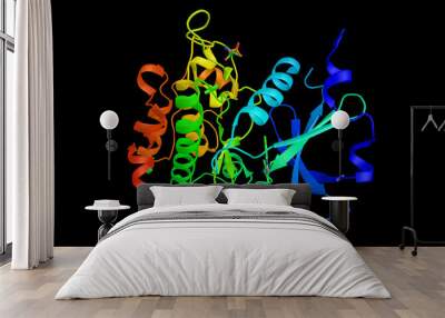 Serine/threonine-protein kinase 25, an enzyme that in humans is encoded by the STK25 gene. Involved in stress response. 3d rendering Wall mural