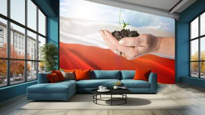 South Ossetia growth and new beginning. Green renewable energy and ecology concept. Wall mural