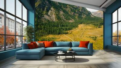 Green meadow in the mountains. Altai, Siberia, Russia Wall mural