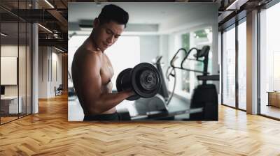 Muscular bodybuilder guy lifting weights in gym. Wall mural