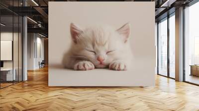 a newborn kitten with closed eyes, tiny pink paws, and soft, fuzzy fur against an isolated light ivory background, the soft light casts gentle shadows on the kitten, creating intricate patterns Wall mural