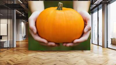 a close-up shot of a pair of clean hands gently holding a freshly harvested pumpkin, with its smooth orange skin and natural imperfections visible Wall mural