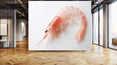 a single shrimp with a light pink color and curled form against an isolated white background Wall mural