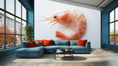 a single shrimp with a light pink color and curled form against an isolated white background Wall mural