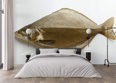 a whole flounder with its flat body and distinctive pattern against an isolated white background Wall mural