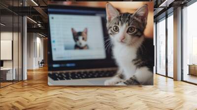 An adorable kitten sitting on a laptop, bringing charm and warmth to a modern workspace Wall mural