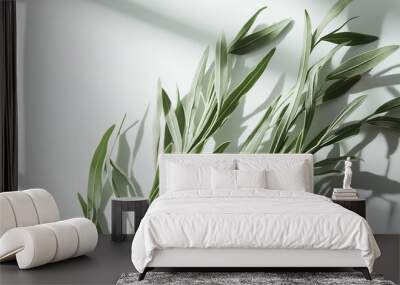 tarragon bundled with organic flax string its long, thin leaves gently curving against an isolated white background Wall mural