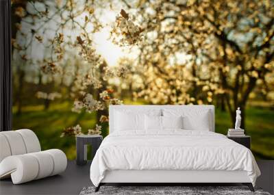 Abstract soft focus sunset blooming cherry landscape spring flowers and warm golden hour sunset sunrise. Tranquil spring summer nature closeup and blurred forest background. Idyllic nature springtime Wall mural