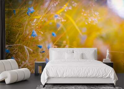 Abstract soft focus sunset field landscape of blue flowers and grass meadow warm golden hour sunset sunrise time. Tranquil spring summer nature closeup and blurred forest background. Idyllic nature Wall mural