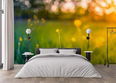 Abstract soft focus sunset field landscape of yellow flowers and grass meadow warm golden hour sunset sunrise time. Tranquil spring summer nature closeup and blurred forest background. Idyllic nature Wall mural