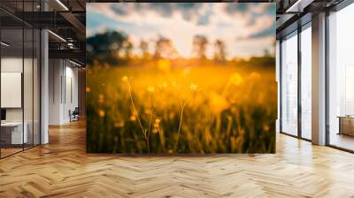 Abstract sunset field landscape of yellow flowers and grass meadow on warm golden hour sunset or sunrise time. Tranquil spring summer nature closeup and blurred forest background. Idyllic nature Wall mural