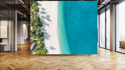 Aerial landscape view of tropical summer palm trees shadows on sandy coast ocean waves splash crash. Beautiful top view sunny sea coast, exotic amazing nature landscape. Abstract Mediterranean pattern Wall mural