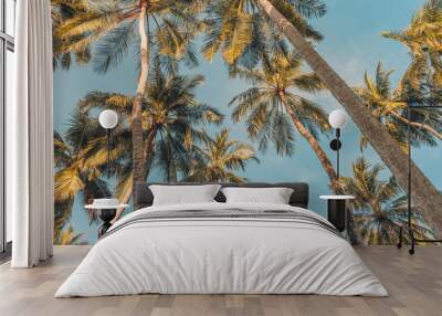 Beautiful vacation and nature travel adventure panoramic banner. Idyllic tropical Mediterranean view. Copy space of silhouette tropical palm trees sun light on sunset sky, summer abstract background Wall mural