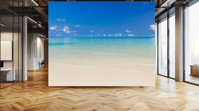 Closeup sea sand sky beach. Panoramic coast landscape. Inspire tropical Mediterranean beach seascape horizon.  Peaceful calm tranquil relaxing sunlight. Vacation travel banner minimalism copy space  Wall mural