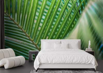 Closeup tropical palm leaf and shadows, exotic abstract natural green lush background, dark tone textures. Sunshine garden park plant summer foliage panoramic banner wallpaper. Inspire relaxing nature Wall mural