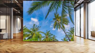 Green palm tree against blue sky and white clouds. Bottom view of palm trees tropical forest at blue sky background, tropical nature pattern. Relax natural view Wall mural