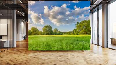 Idyllic mountain panoramic landscape. Fresh green meadows and blooming wildflowers, sun ray. Beautiful nature countryside view, rural sunny outdoor natural. Bright banner nature spring summer panorama Wall mural