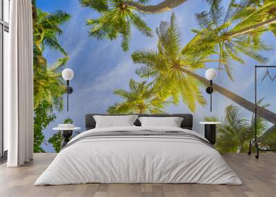 Summer beach background palm trees against sunny blue sky banner panorama. Tropical paradise travel destination. Exotic nature abstract low point of view Wall mural