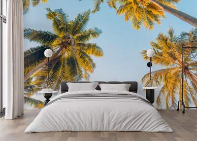 summer vacation banner. romantic vibes of tropical palm tree sunlight on sky background. outdoor sun Wall mural