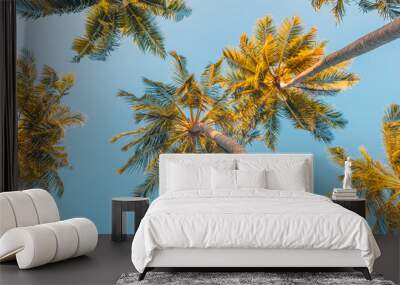 Summer vacation banner. Romantic vibes of tropical palm tree sunlight on sky background. Outdoor sunset exotic foliage closeup nature landscape. Coconut palm trees shining sun over bright sky panorama Wall mural