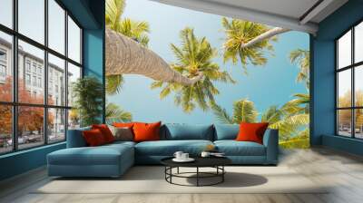 Tropical palm trees background. Coconut palms and peaceful inspire blue sky. Exotic summer nature pattern panorama, green leaves, natural landscape. Summer travel tropical island, panoramic vacation Wall mural