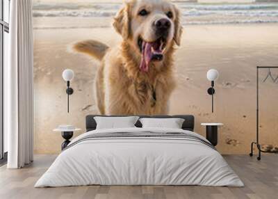 Happy golden retriever on the beach Wall mural