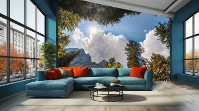 Looking up in the middle of a forest, view of beautiful trees and a blue sky with white clouds and sun rays Wall mural