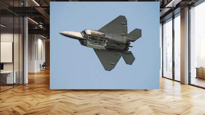 modern fighter jet Wall mural