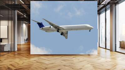 Passenger jet airplane Wall mural