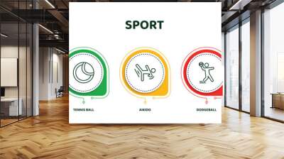 editable thin line icons with infographic template. infographic for sport concept. included trampolining, tennis ball, aikido, dodgeball, mixed martial arts icons. Wall mural