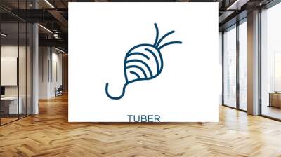 tuber icon from fruits and vegetables collection. Thin linear tuber, collage, unequal outline icon isolated on white background. Line vector tuber sign, symbol for web and mobile Wall mural