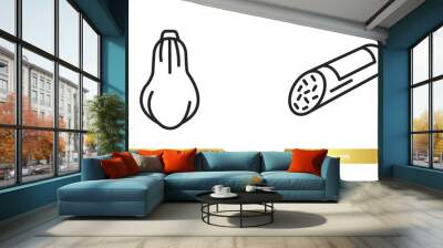 two editable outline icons from gastronomy concept. thin line icons such as butternut squash, salami vector. Wall mural