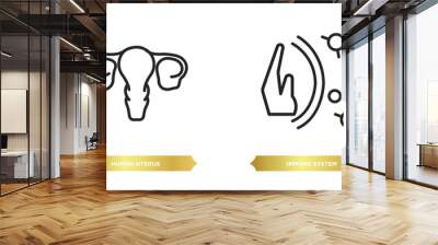 two editable outline icons from human body parts concept. thin line icons such as human uterus, immune system vector. Wall mural