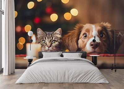 Cat and dog friends waiting for food at dinner table. Pets and Christmas photo for postcard. Wall mural