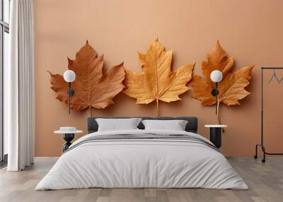 Flatlay of three dry autumn leaves on brown paper surface. Wall mural