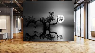 old tree under the moonlight Wall mural