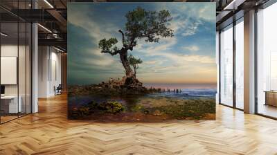 strong old tree on the beach Wall mural