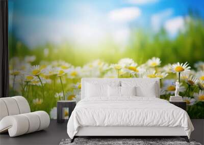 beautiful spring blurred background, a blossoming meadow filled with daisies under a serene blue sky Wall mural